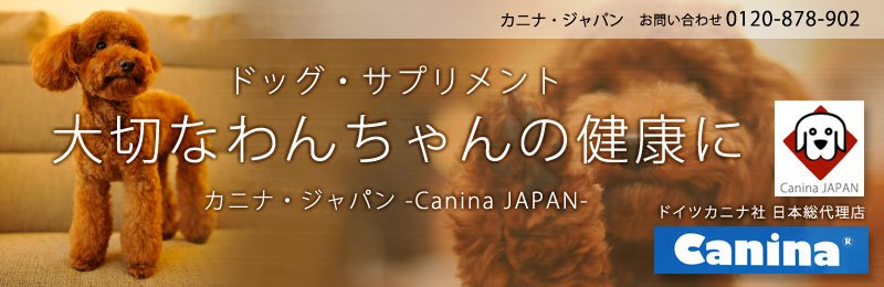 TvEhbOTvōE֐߁E̃PA